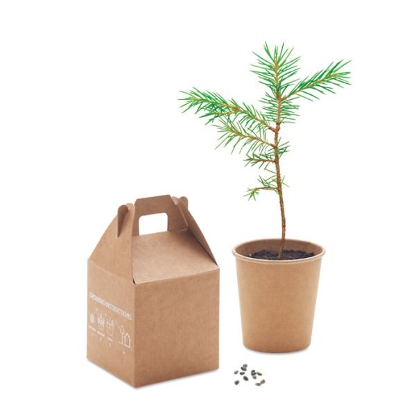 Growtree™3 gift suppliers Growtree™