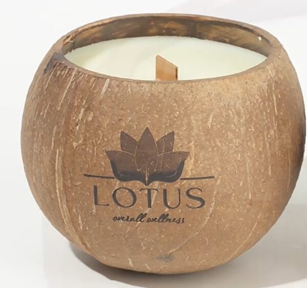 Biodegradable soy candles 8  gift suppliers Biodegradable soy candles