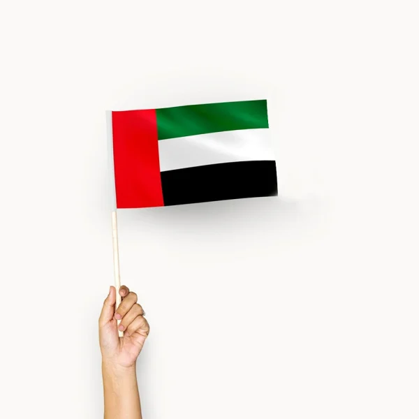 uae flag with wooden holder stick